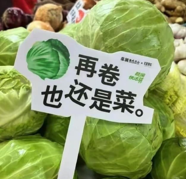 再怎么卷也还是菜-托码特人